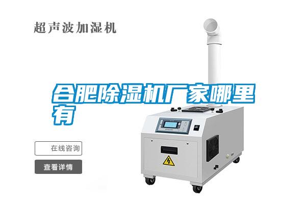 合肥除濕機廠(chǎng)家哪里有