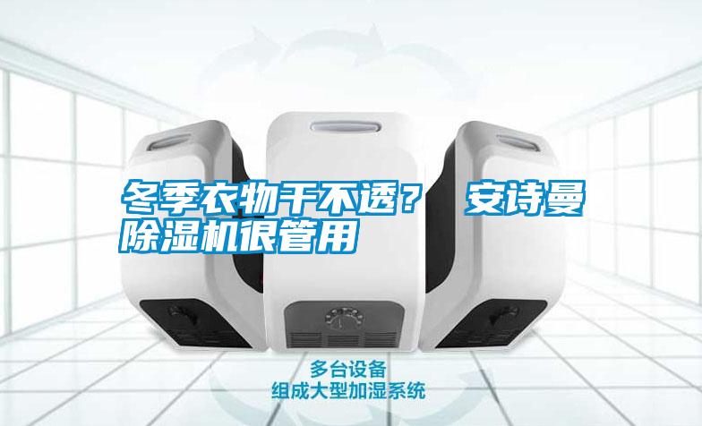 冬季衣物干不透？ 安詩(shī)曼除濕機很管用