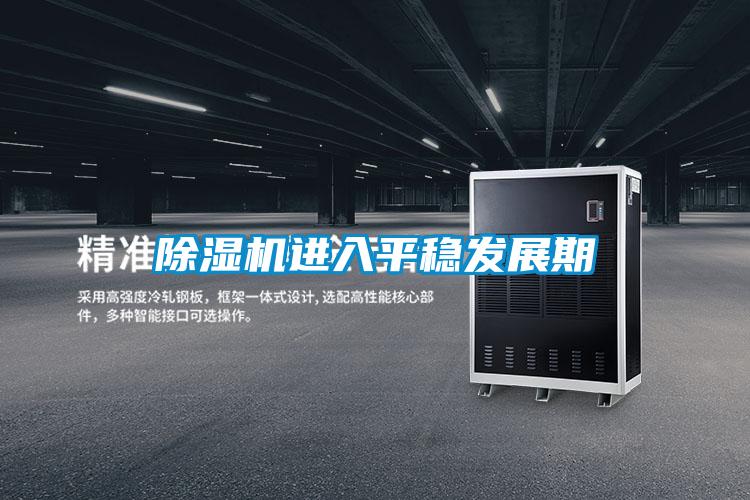 除濕機進(jìn)入平穩發(fā)展期