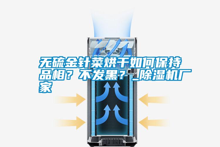 無(wú)硫金針菜烘干如何保持品相？不發(fā)黑？_除濕機廠(chǎng)家