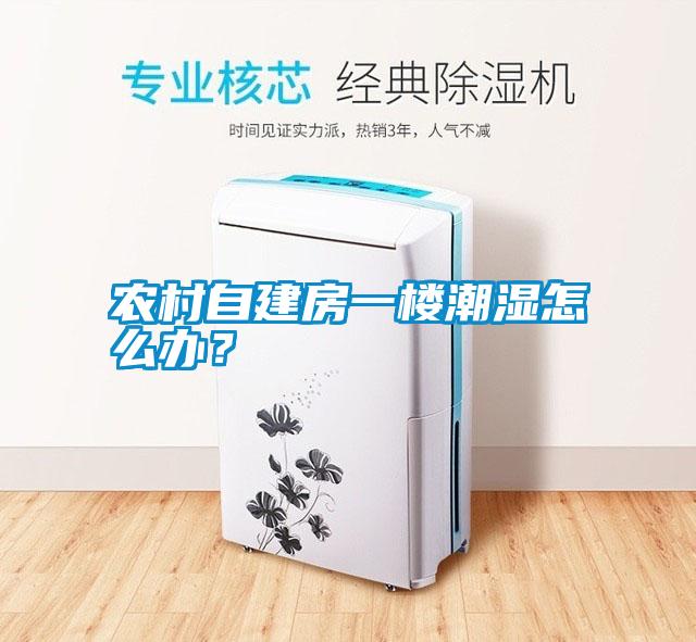 農村自建房一樓潮濕怎么辦？