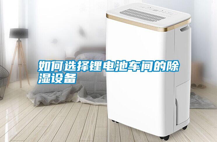 如何選擇鋰電池車(chē)間的除濕設備