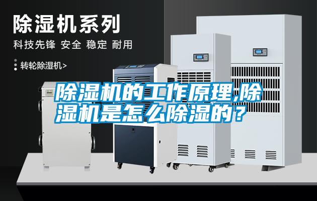 除濕機的工作原理,除濕機是怎么除濕的？