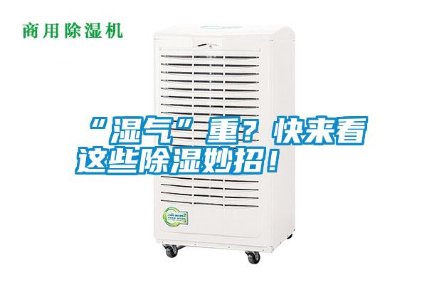 “濕氣”重？快來(lái)看這些除濕妙招！