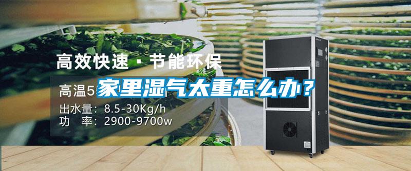 家里濕氣太重怎么辦？