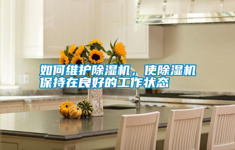 如何維護除濕機，使除濕機保持在良好的工作狀態(tài)