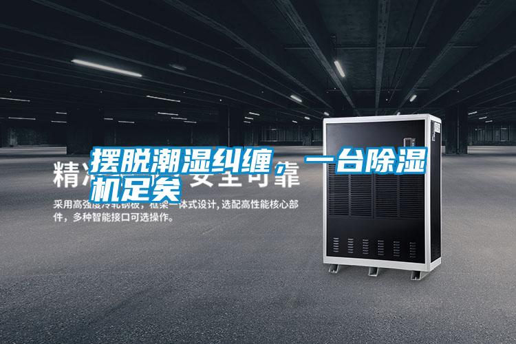 擺脫潮濕糾纏，一臺除濕機足矣