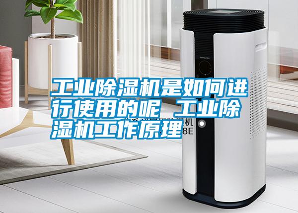工業(yè)除濕機是如何進(jìn)行使用的呢 工業(yè)除濕機工作原理
