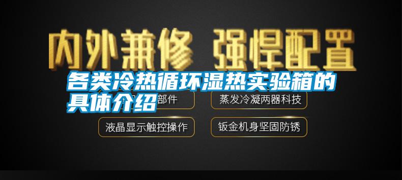 各類(lèi)冷熱循環(huán)濕熱實(shí)驗箱的具體介紹
