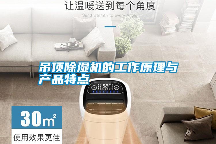 吊頂除濕機的工作原理與產(chǎn)品特點(diǎn)