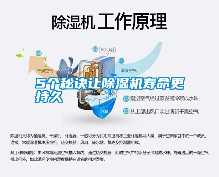 5個(gè)秘訣讓除濕機壽命更持久