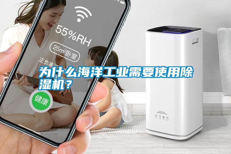 為什么海洋工業(yè)需要使用除濕機？