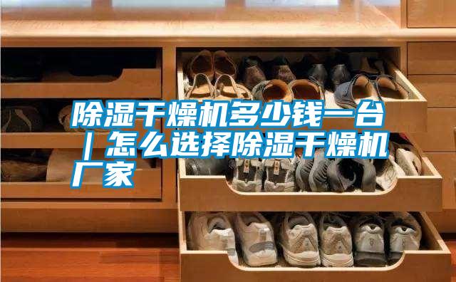 除濕干燥機多少錢(qián)一臺｜怎么選擇除濕干燥機廠(chǎng)家
