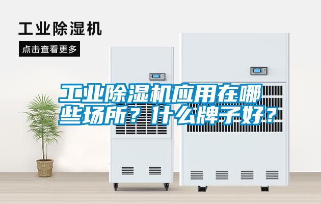 工業(yè)除濕機應用在哪些場(chǎng)所？什么牌子好？