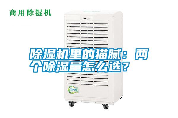 除濕機里的貓膩：兩個(gè)除濕量怎么選？