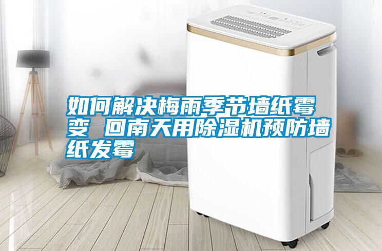 如何解決梅雨季節墻紙霉變 回南天用除濕機預防墻紙發(fā)霉