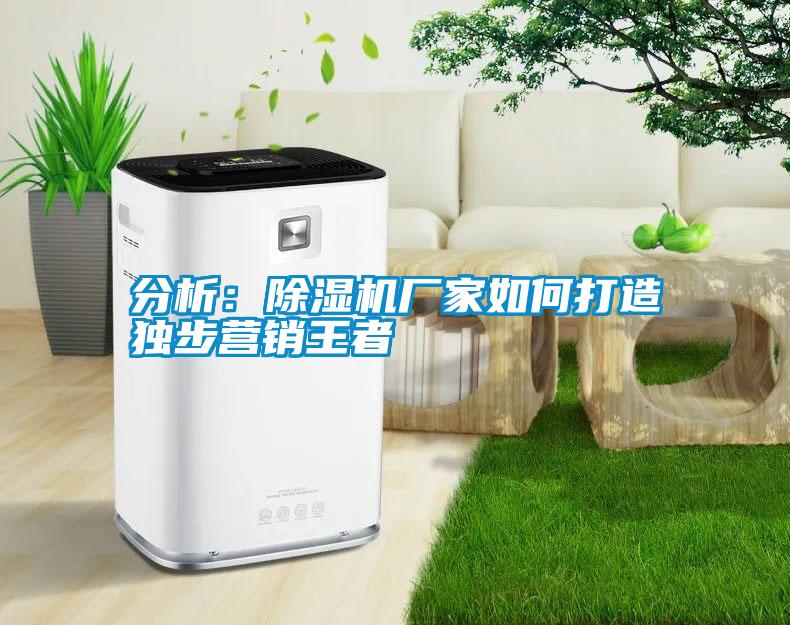 分析：除濕機廠(chǎng)家如何打造獨步營(yíng)銷(xiāo)王者