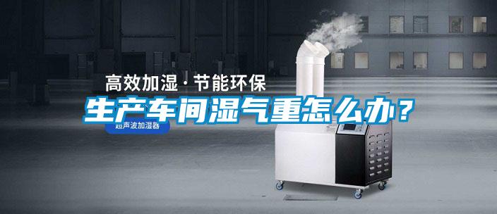 生產(chǎn)車(chē)間濕氣重怎么辦？