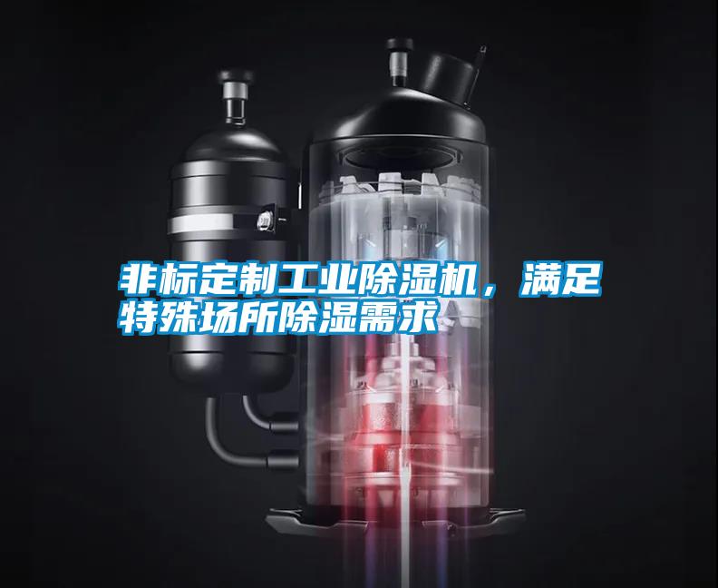 非標定制工業(yè)除濕機，滿(mǎn)足特殊場(chǎng)所除濕需求