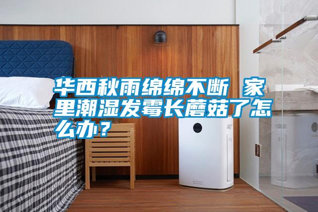 華西秋雨綿綿不斷 家里潮濕發(fā)霉長(cháng)蘑菇了怎么辦？