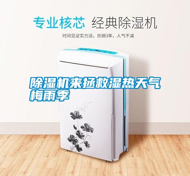 除濕機來(lái)拯救濕熱天氣梅雨季