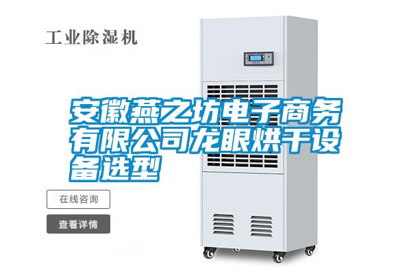 安徽燕之坊電子商務(wù)有限公司龍眼烘干設備選型