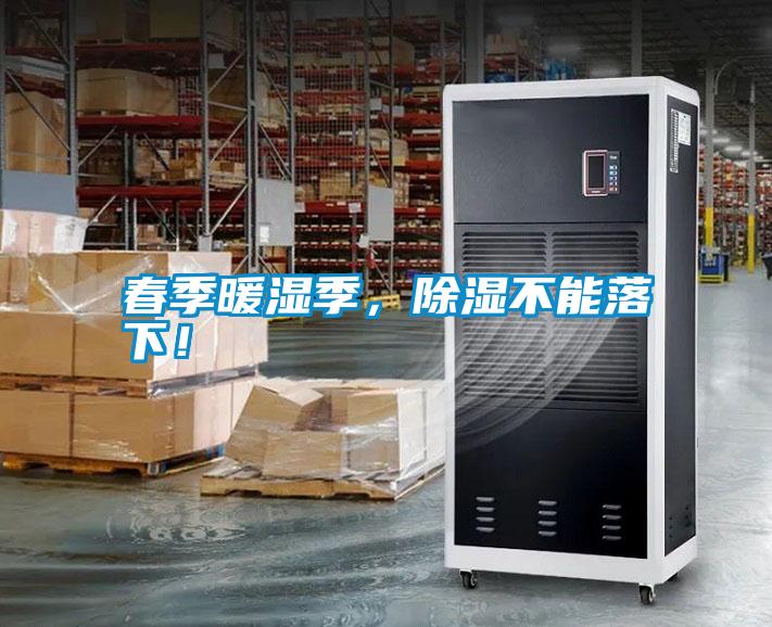 春季暖濕季，除濕不能落下！