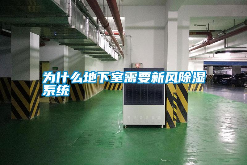 為什么地下室需要新風(fēng)除濕系統