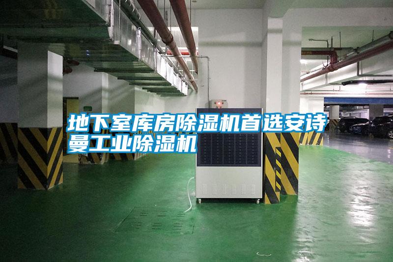 地下室庫房除濕機首選安詩(shī)曼工業(yè)除濕機