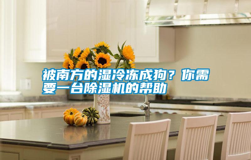 被南方的濕冷凍成狗？你需要一臺除濕機的幫助