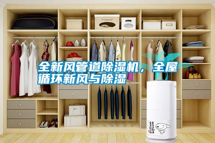 全新風(fēng)管道除濕機，全屋循環(huán)新風(fēng)與除濕