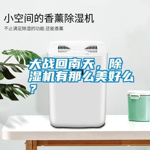 大戰回南天，除濕機有那么美好么？