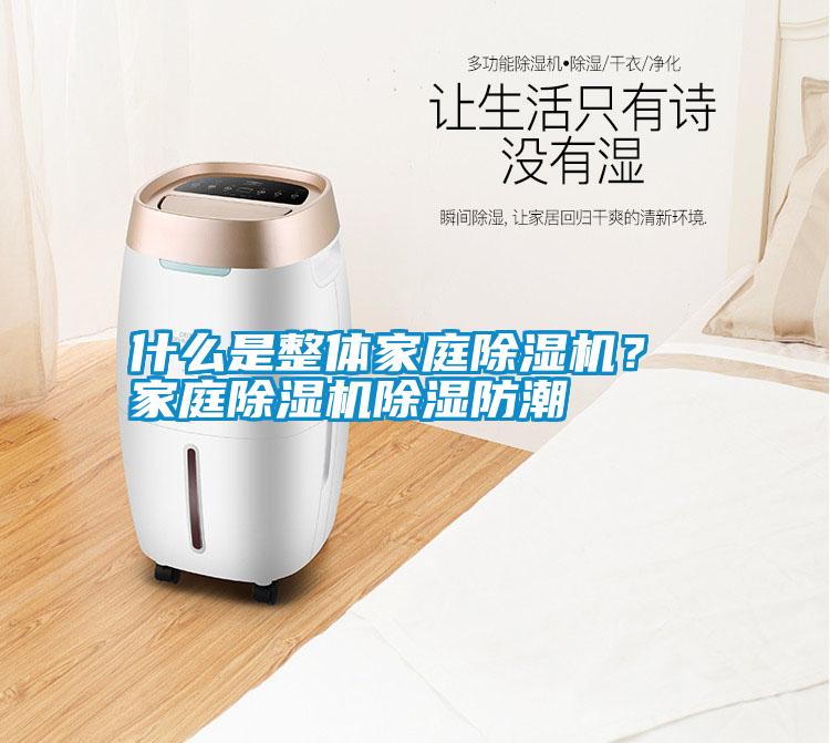 什么是整體家庭除濕機？ 家庭除濕機除濕防潮