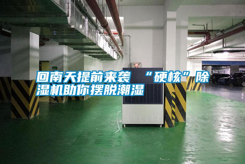 回南天提前來(lái)襲 “硬核”除濕機助你擺脫潮濕