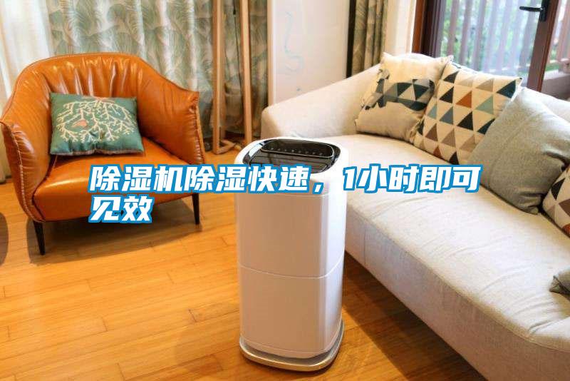 除濕機除濕快速，1小時(shí)即可見(jiàn)效
