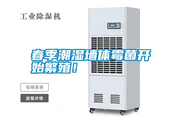 春季潮濕墻體霉菌開(kāi)始繁殖！