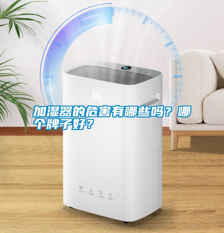 加濕器的危害有哪些嗎？哪個(gè)牌子好？