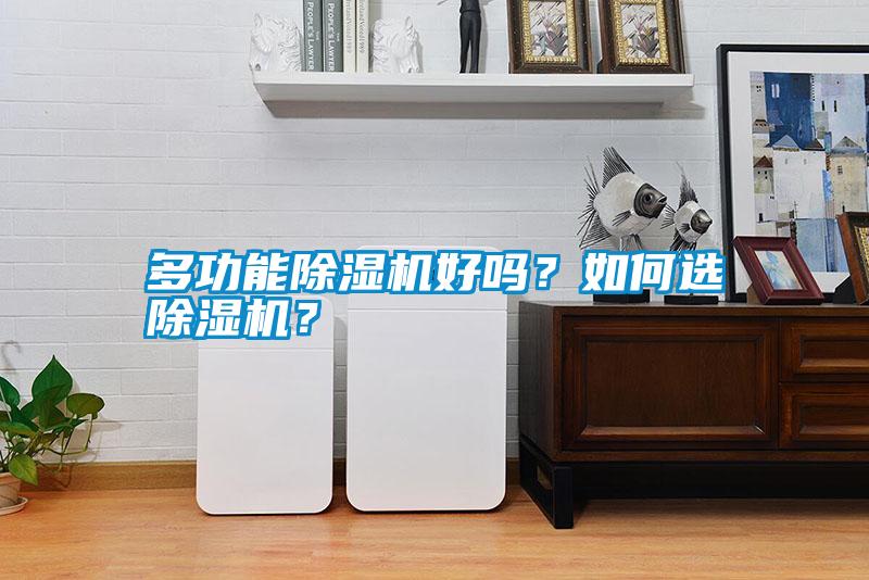 多功能除濕機好嗎？如何選除濕機？
