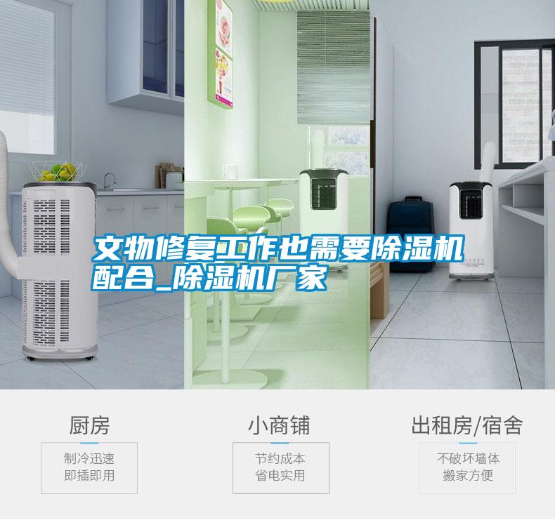 文物修復工作也需要除濕機配合_除濕機廠(chǎng)家