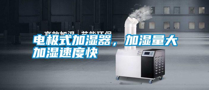 電極式加濕器，加濕量大加濕速度快