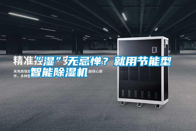 “濕”無(wú)忌憚？就用節能型智能除濕機