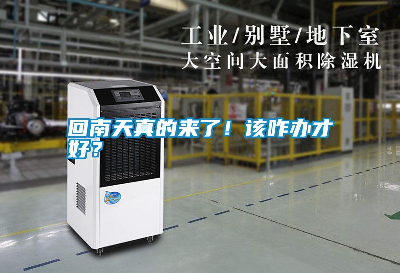 回南天真的來(lái)了！該咋辦才好？