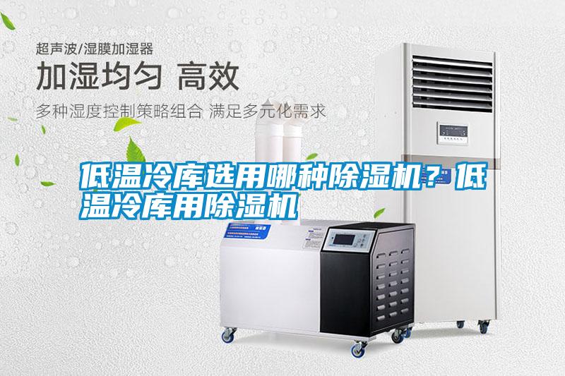 低溫冷庫選用哪種除濕機？低溫冷庫用除濕機