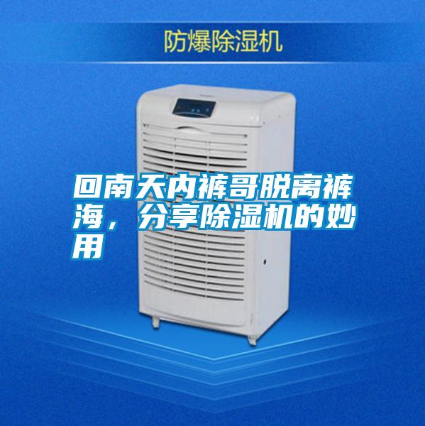 回南天內褲哥脫離褲海，分享除濕機的妙用