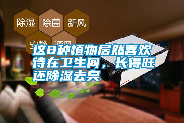 這8種植物居然喜歡待在衛生間，長(cháng)得旺還除濕去臭