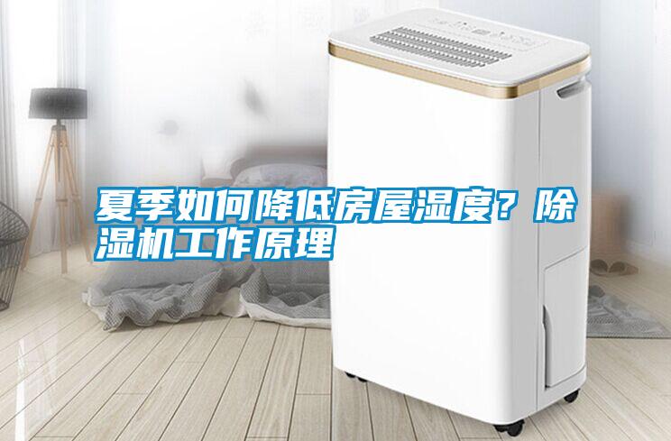 夏季如何降低房屋濕度？除濕機工作原理