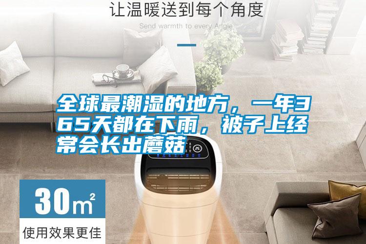 全球最潮濕的地方，一年365天都在下雨，被子上經(jīng)常會(huì )長(cháng)出蘑菇