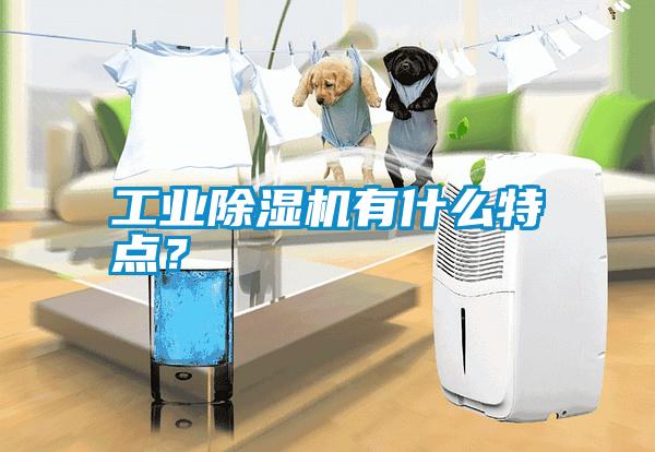 工業(yè)除濕機有什么特點(diǎn)？