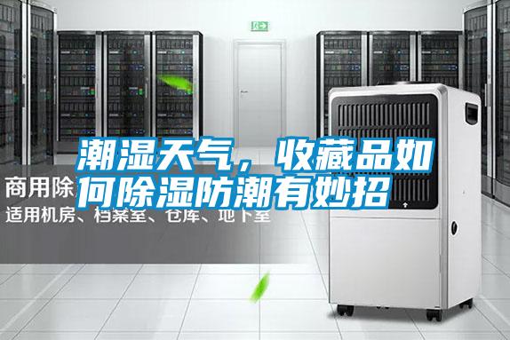 潮濕天氣，收藏品如何除濕防潮有妙招