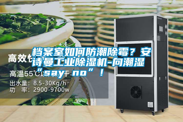 檔案室如何防潮除霉?安詩(shī)曼工業(yè)除濕機-向潮濕“say no”!